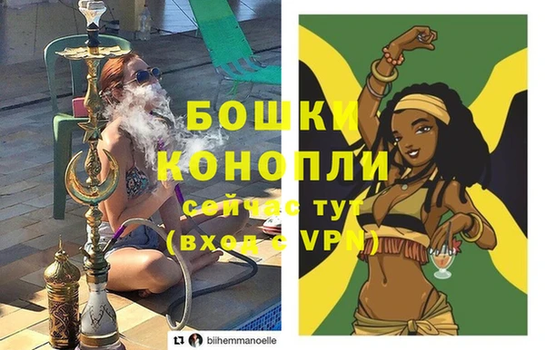 дживик Майский