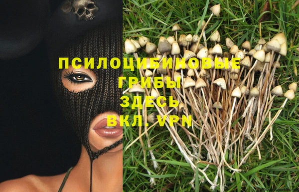 спайс Магас