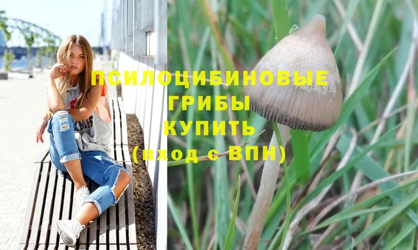 дживик Майский