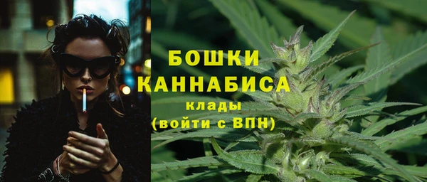 дживик Майский
