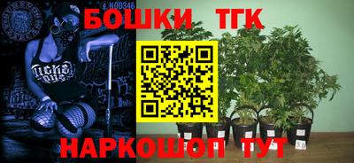 молекула духа Будённовск