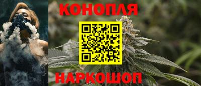 молекула духа Будённовск