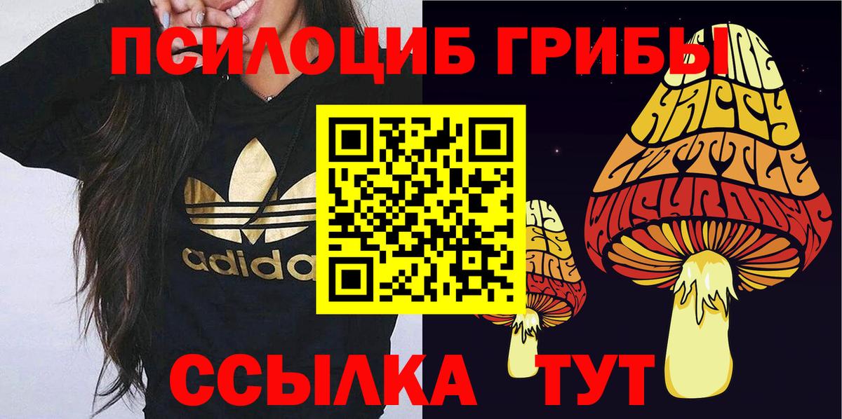 Карачаевск  Псилоцибиновые грибы GOLDEN TEACHER  Вход с VPN  наркота  Галлюциногенные грибы GOLDEN TEACHER 